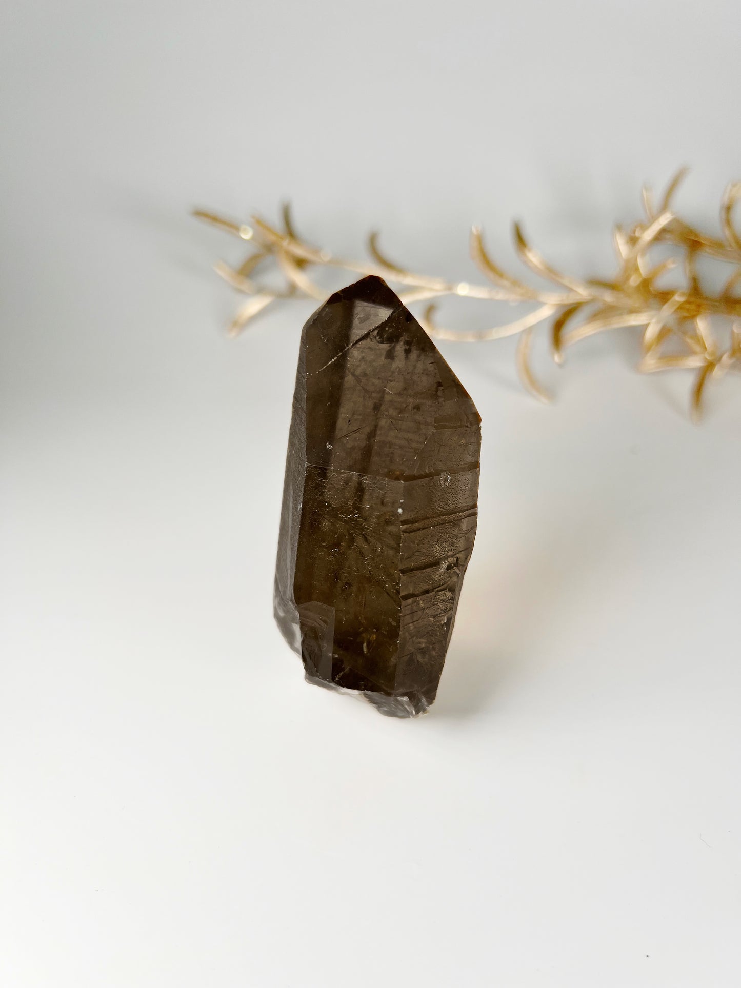 Rauchquarz Lemurian