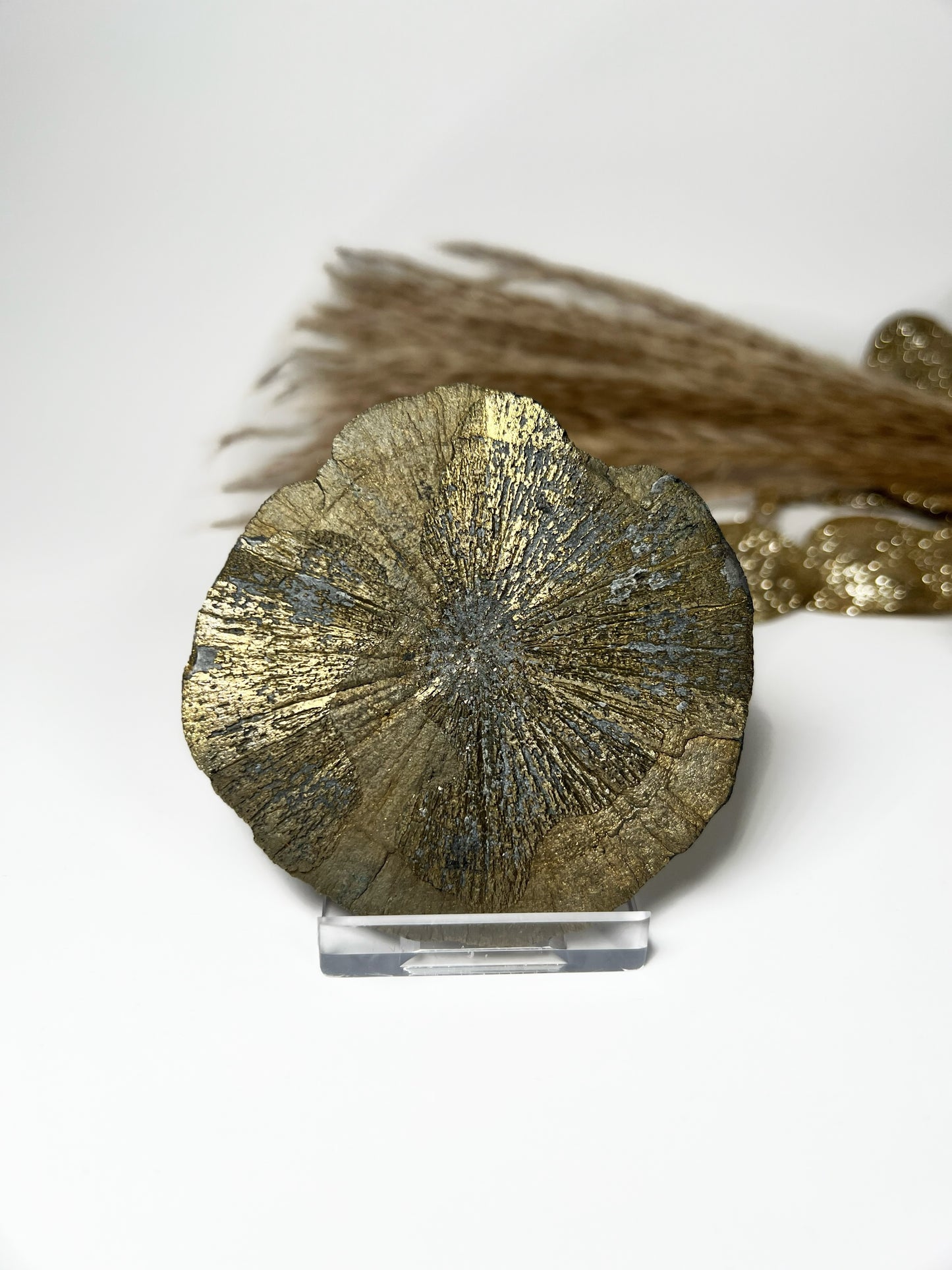 Pyrit Sonne