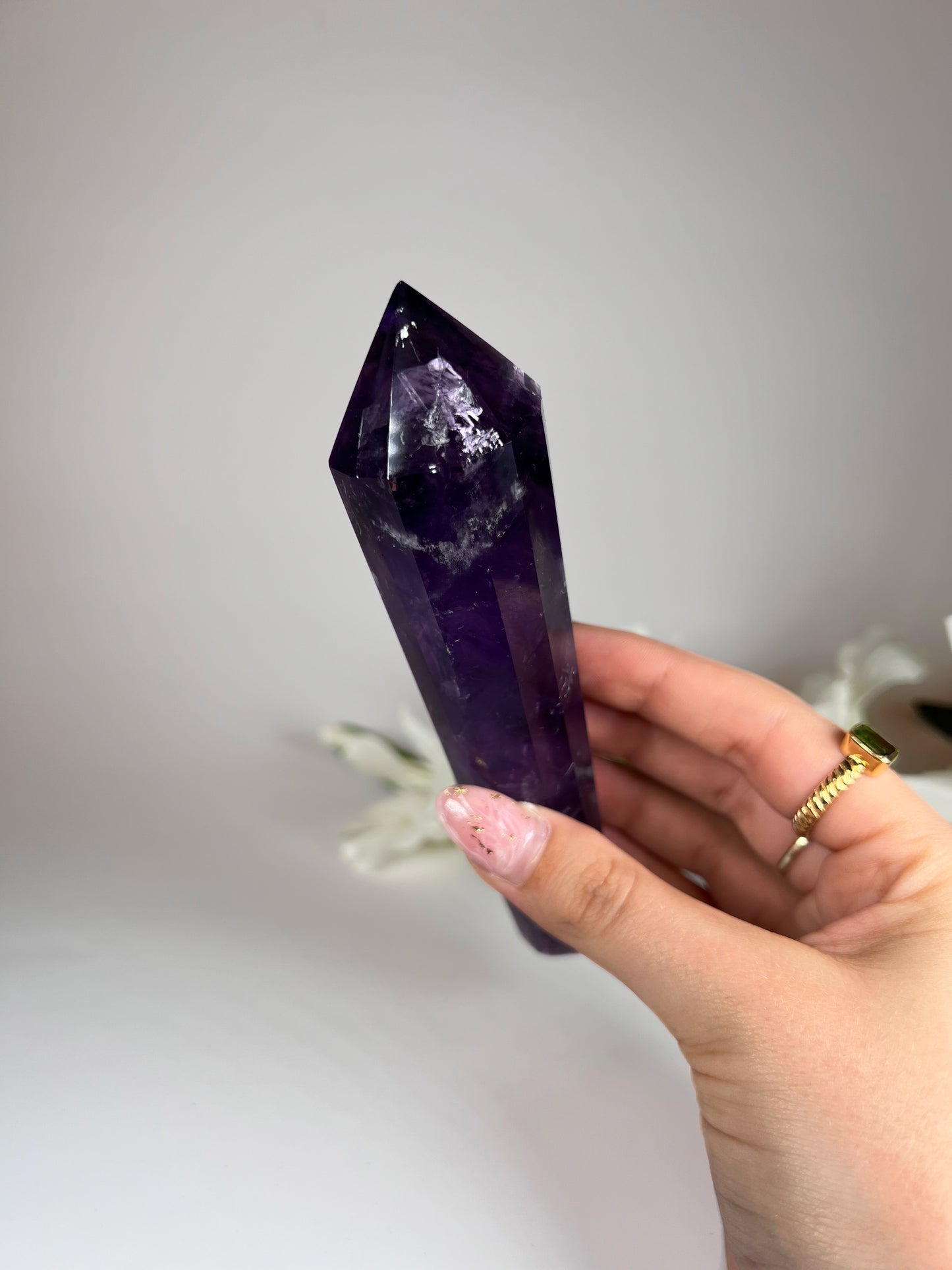 Amethyst Vogel mit Phantomen