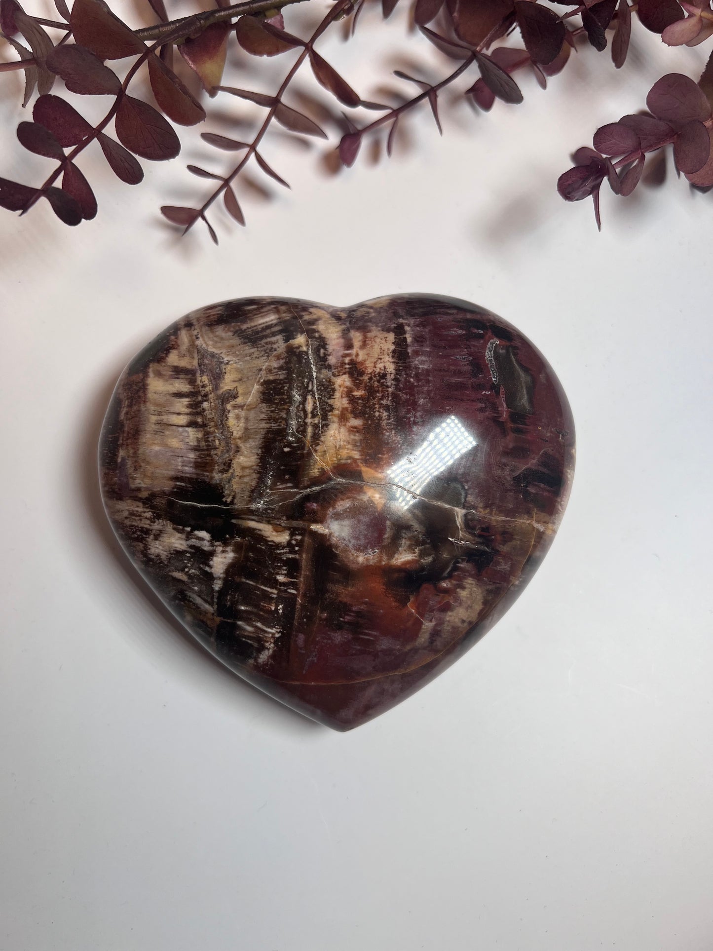 Versteinertes Holz Herz