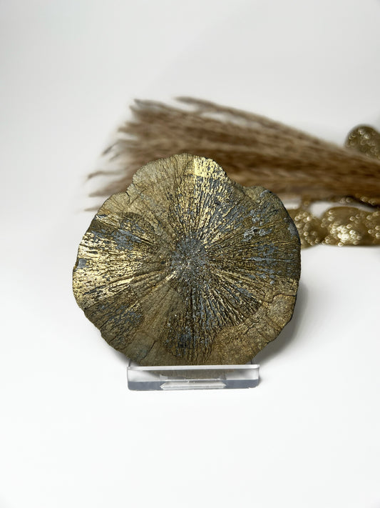 Pyrit Sonne
