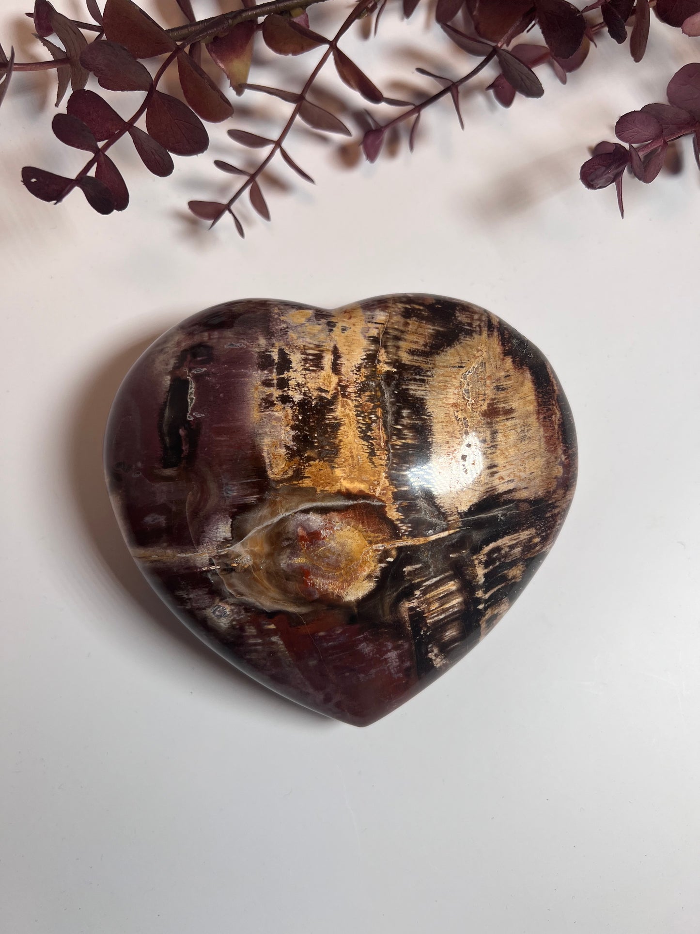 Versteinertes Holz Herz