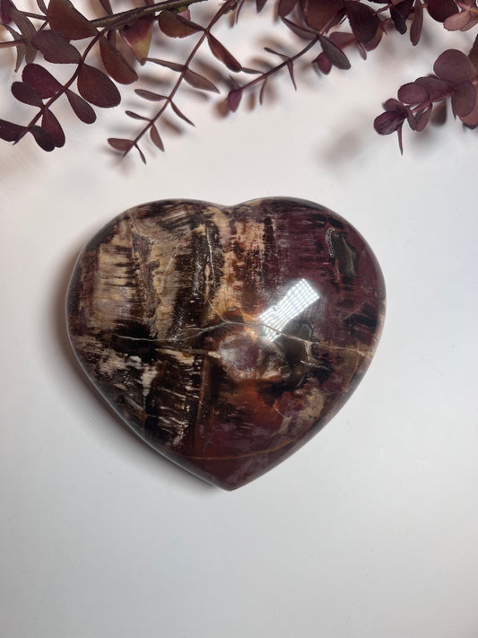 Versteinertes Holz Herz